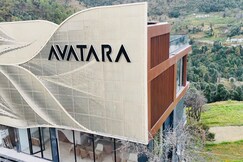 Avatara - Mahavatar Babaji Cave