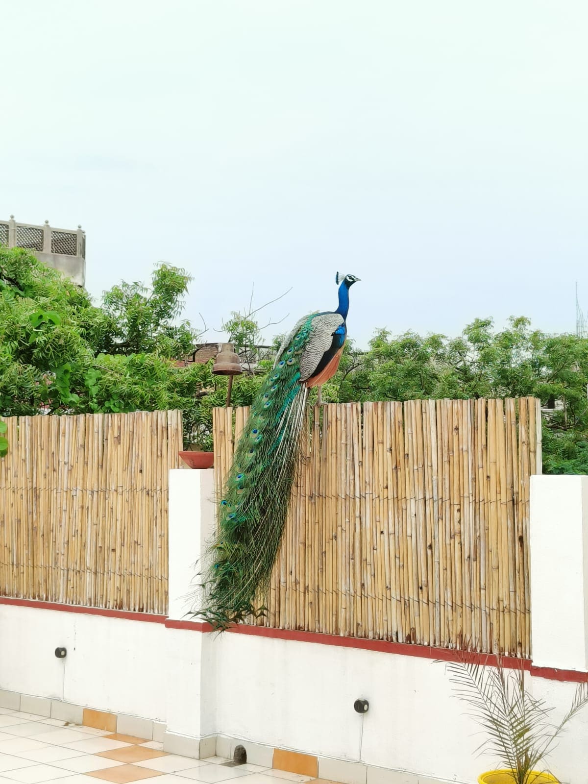 Ohh Hostler Jaipur | 10 Mins From Hawa Mahal - Tap to explore photos