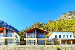 Silverfern by the hill side