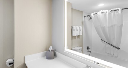 Holiday Inn Express Hotel & Suites Charleston-Southridge Room Type - 1 King Bed Standard