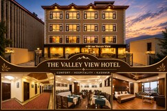 THE VALLEY VIEW