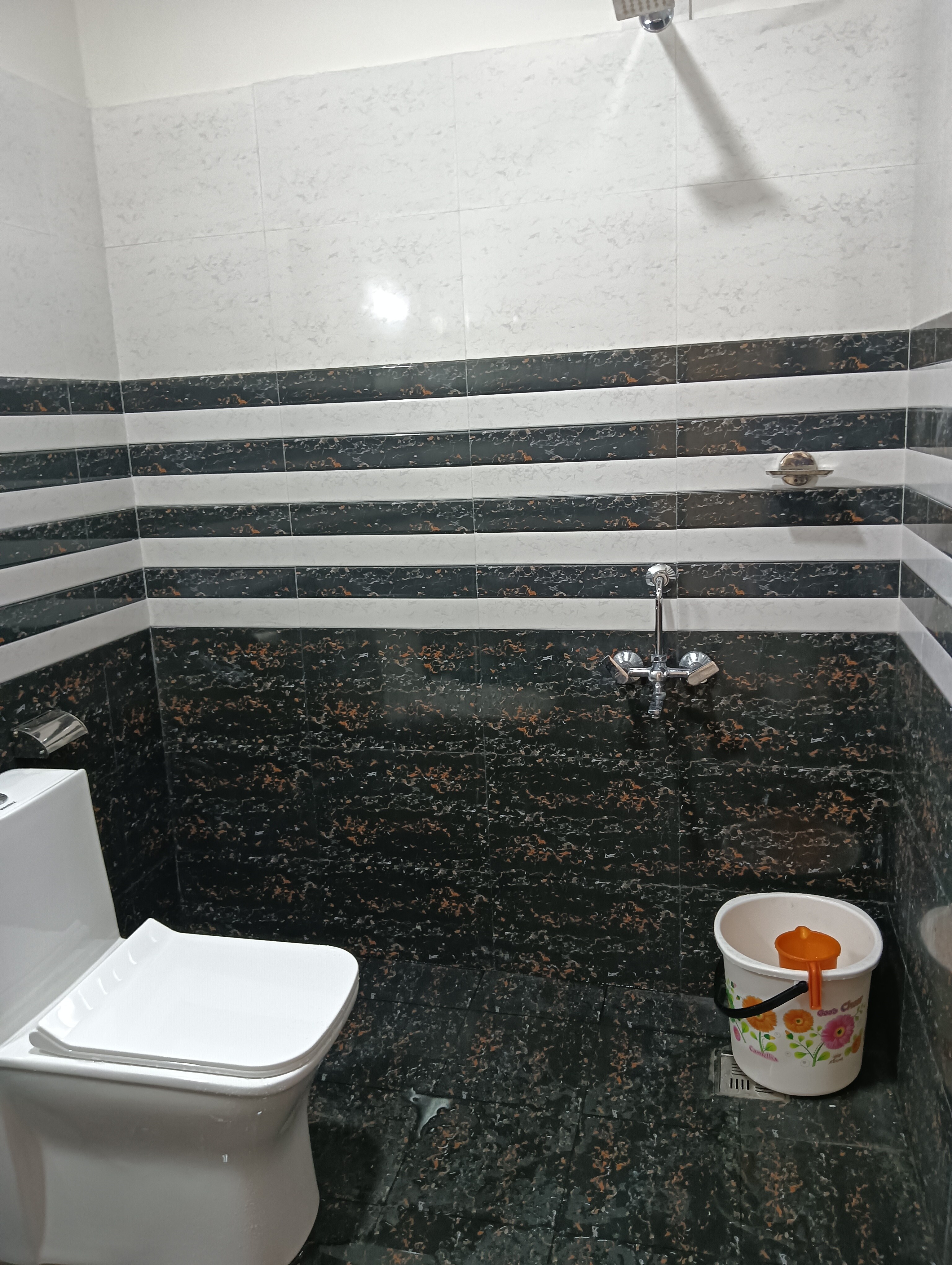 Mangrove planet Homestay - Tap to explore photos