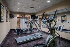 Holiday Inn Express & Suites YOUNGSTOWN N (WARREN/NILES)