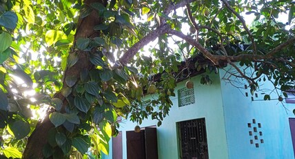 Jacobs Homestay Unit 1 Low Budget Room Type - Jacobs Homestay Unit 1 Low Budget