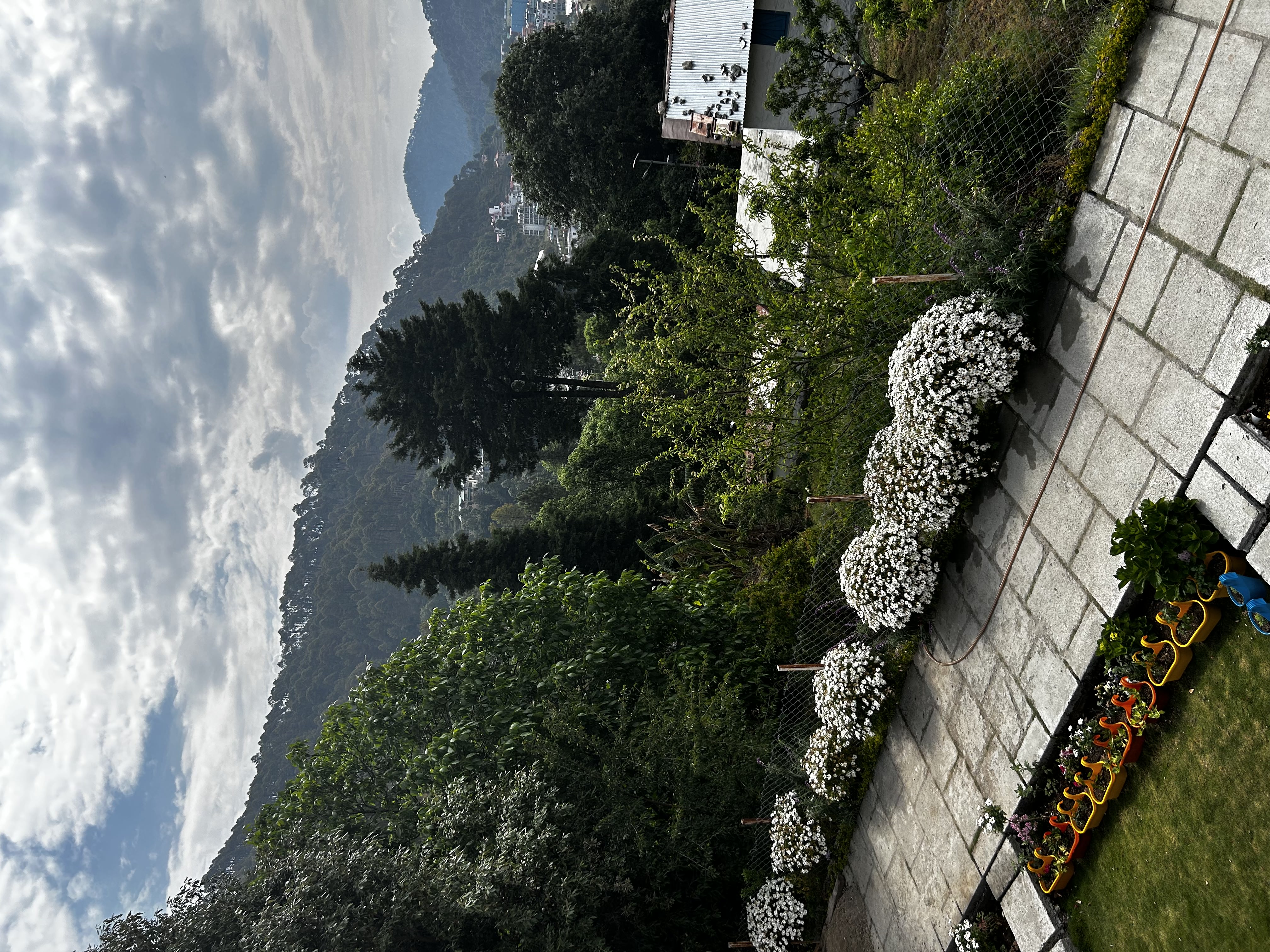Just Naturals Wellness Resort Nainital - Tap to explore photos