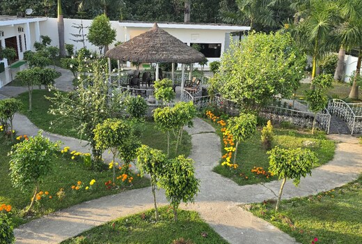 DTR Jungle Hideaways