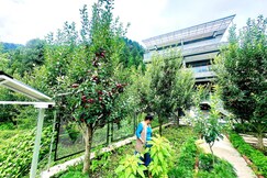 The Cedar Stone Apartment Manali