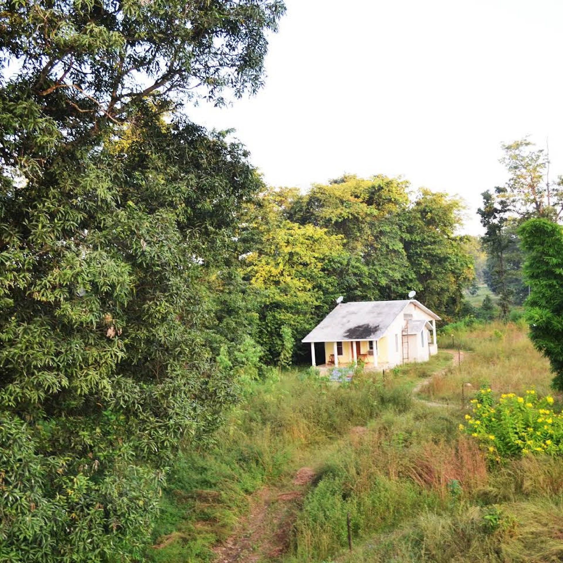 Hornbill Resort - Tap to explore photos