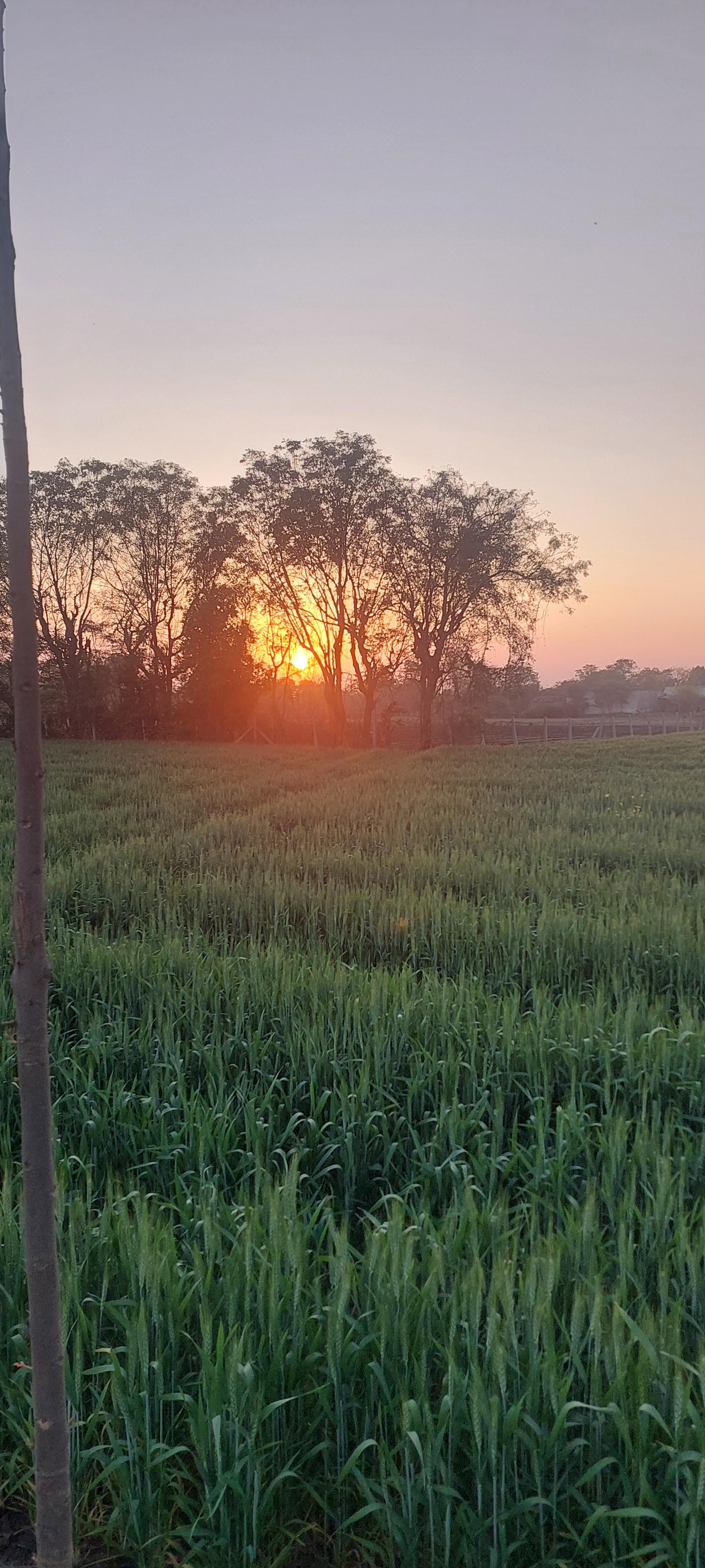 R.k.Farms & Resorts - Tap to explore photos