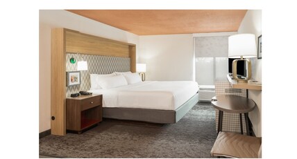 Holiday Inn ROANOKE - VALLEY VIEW Room Type - 1 King Bed Premium