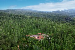 Jungle Greens Homestay | Located Amidst the Lush Coffee Plantation