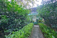 Wayanad Royal Stream