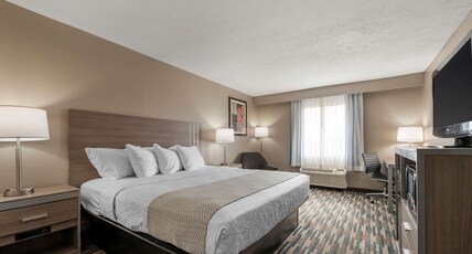 Best Western Edinburgh/Columbus Room Type - 1 King Bed, Non-Smoking, Desk, Microwave And Refrigerator, Wi-Fi, Full Breakfast