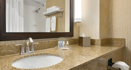 Holiday Inn & Suites DULUTH-DOWNTOWN Room Type - 2 Queen Premium City View