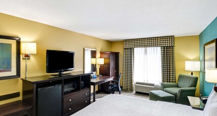 Hampton Inn Mobile-East Bay/Daphne, AL Room Type - 1 KING CITYVIEW NON SMOKIN