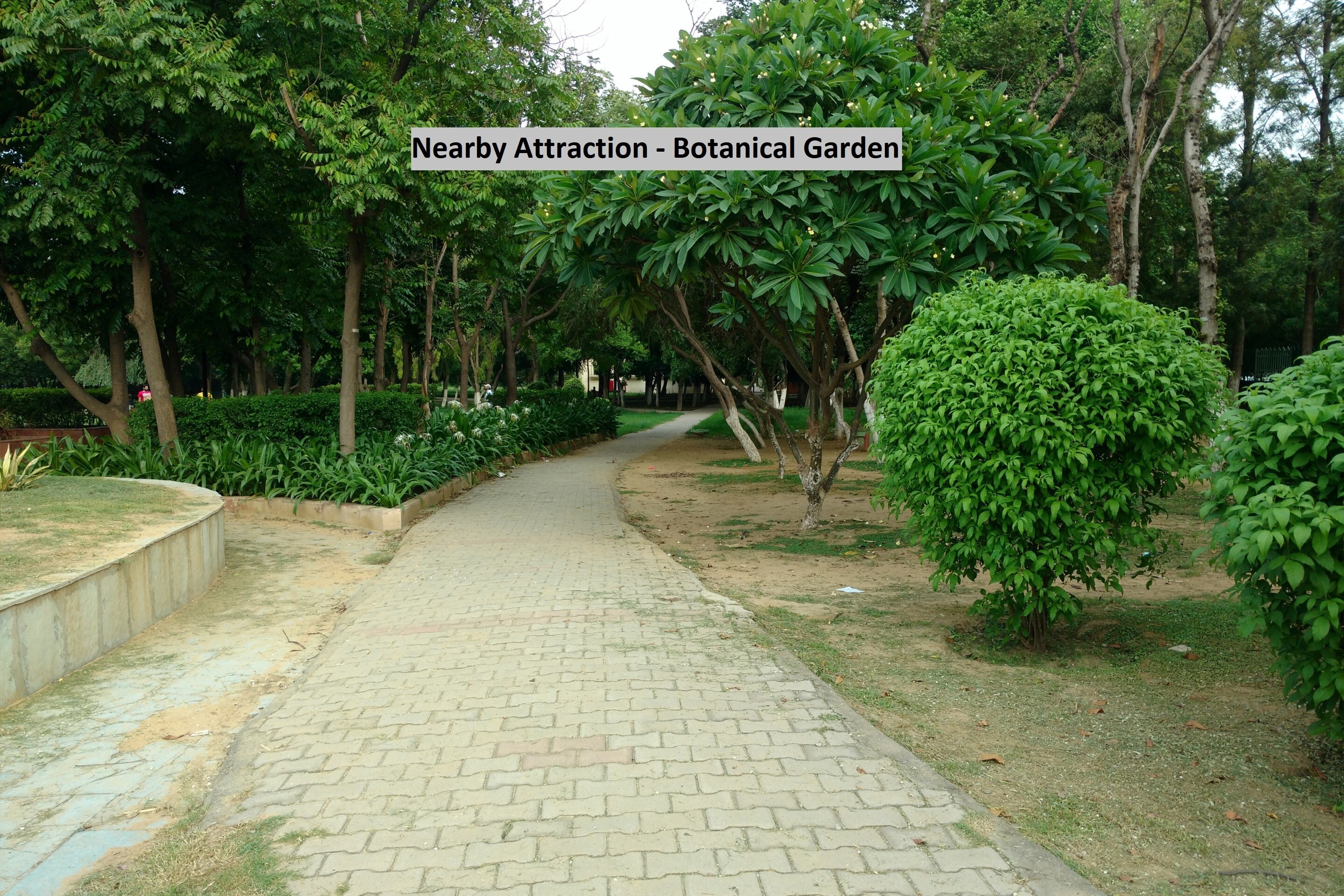 Collection O City near prem mandir - Tap to explore photos