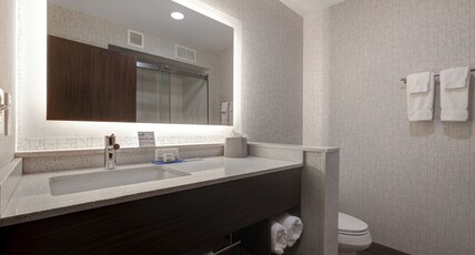 Holiday Inn Express & Suites Ann Arbor - University South Room Type - 1 King Bed Standard