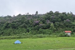 Address of Kalimpong Mountain View Homestay