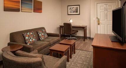 Staybridge Suites DENVER TECH CENTER Room Type - 1 Queen Bed Studio Suite