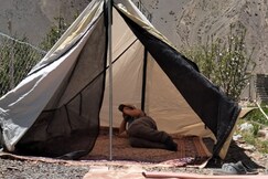 StayApart Camping at Lari , Tabo