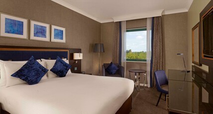 DoubleTree by Hilton Woking Room Type - QUEEN GUEST ROOM