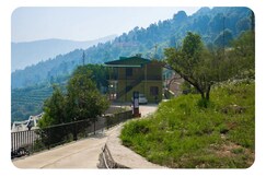 Erigeron Himalayan Hotels