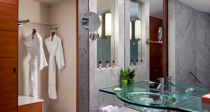Hyatt Regency Kolkata Room Type - 2 Twin Beds with Balcony