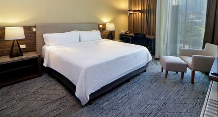 Holiday Inn Express & Suites Monterrey Valle, an IHG Hotel Room Type - 1 King Standard