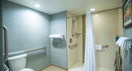 DoubleTree by Hilton Asheville Downtown Room Type - 1 KING MOB HEAR ACC RIS