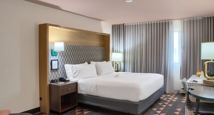 Holiday Inn MOBILE WEST - I-10 Room Type - 1 King Bed Standard Mobil Access Tub