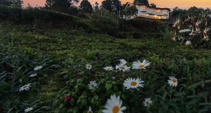 Teanest Nightingale by Nature Resorts and Stays Room Type - Teanest Nightingale Annexe - Nilgiri Pipit (200 meters away from Teanest Nightingale) Teanest Nightingale by Nature Resorts and Stays Room Type - Teanest Nightingale Annexe - Nilgiri Pipit (200 meters away from Teanest Nightingale)