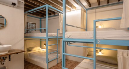 Mad Monkey Panglao Room Type - Standard 4 Bed Female Dorm