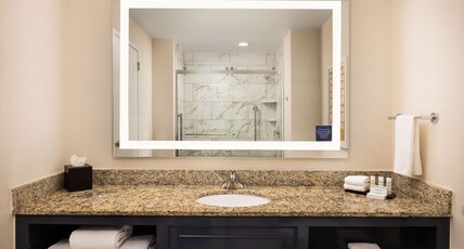 Embassy Suites Atlanta - Buckhead Room Type - 1 KING BED STE CITY VIEW
