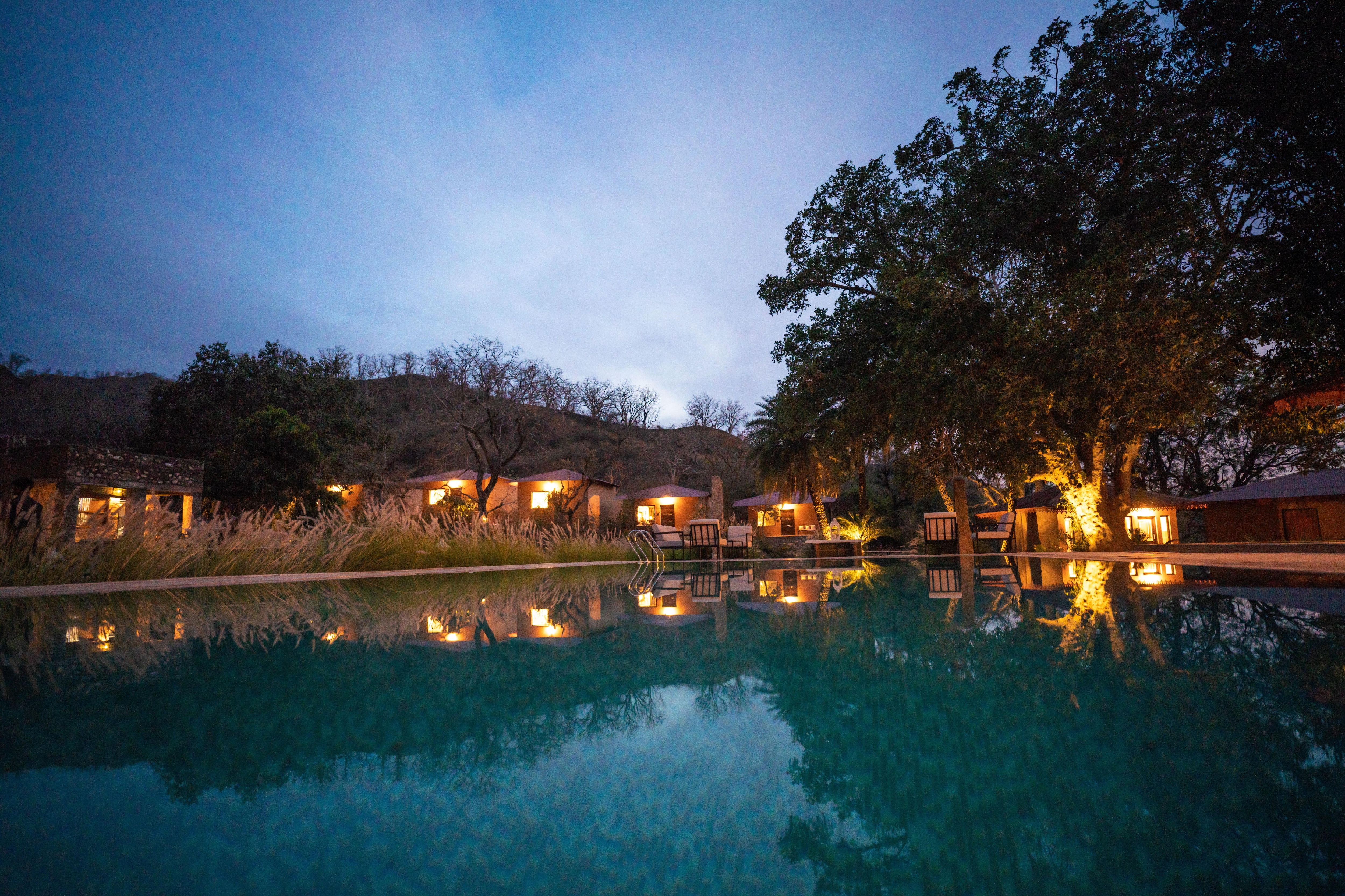 Aloof The Jungle Lodge Ranakpur - Tap to explore photos