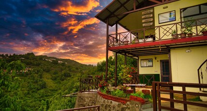 Forester North Room Type - Forester North