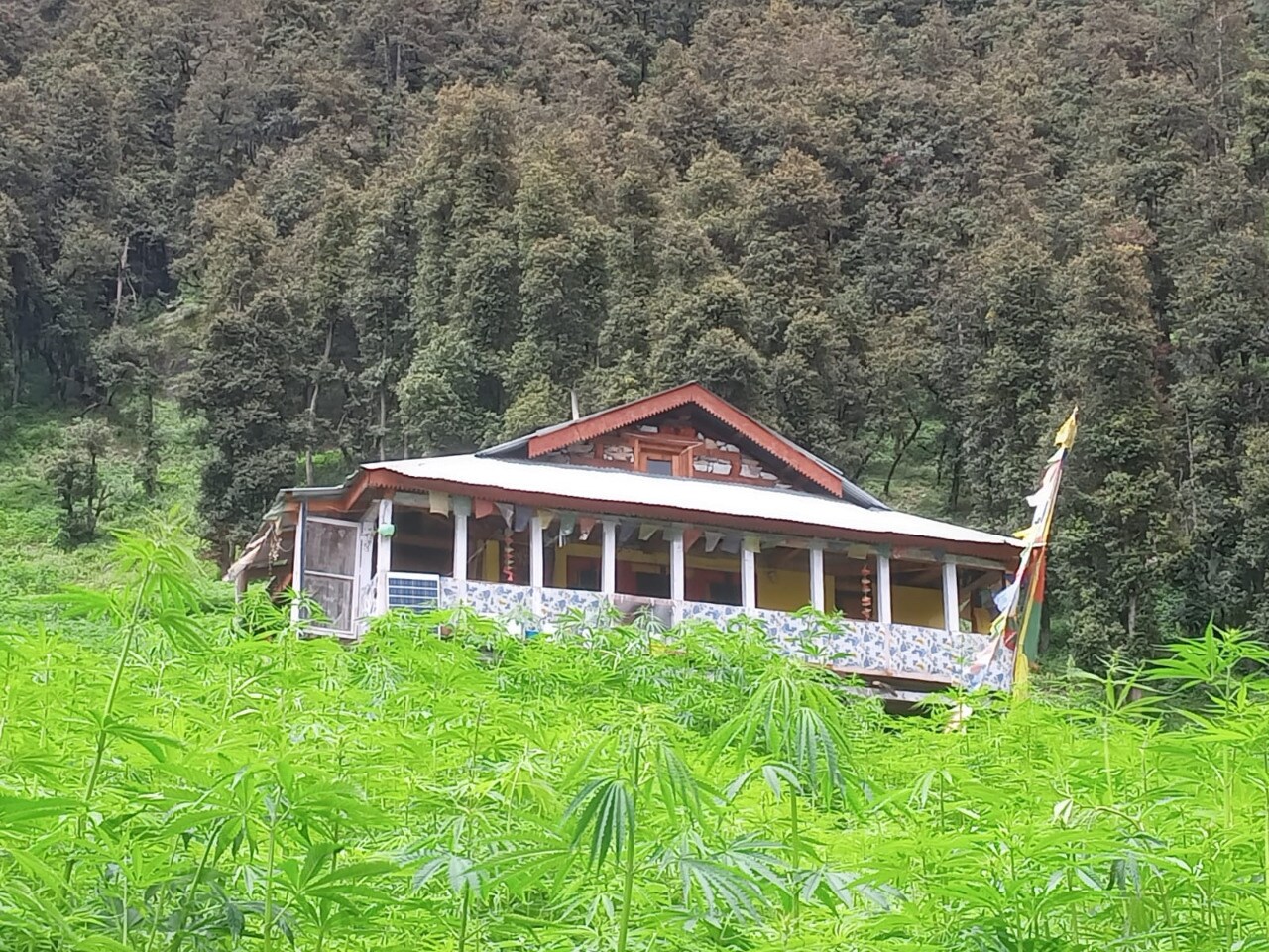 Ravers Point Cafe and Homestay - Tap to explore photos