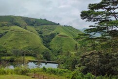 Rustic Rae Vagamon