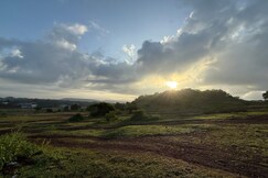 On Promotional Price   Titus s   Coconut Paradise