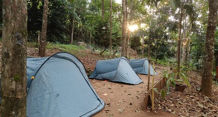Hope Hostel Munnar Room Type - Tent