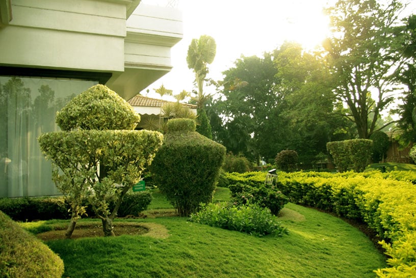 Royal Inn - Tap to explore photos