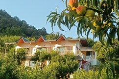 Himalayan Serenity Homestay near Kainchi Dham