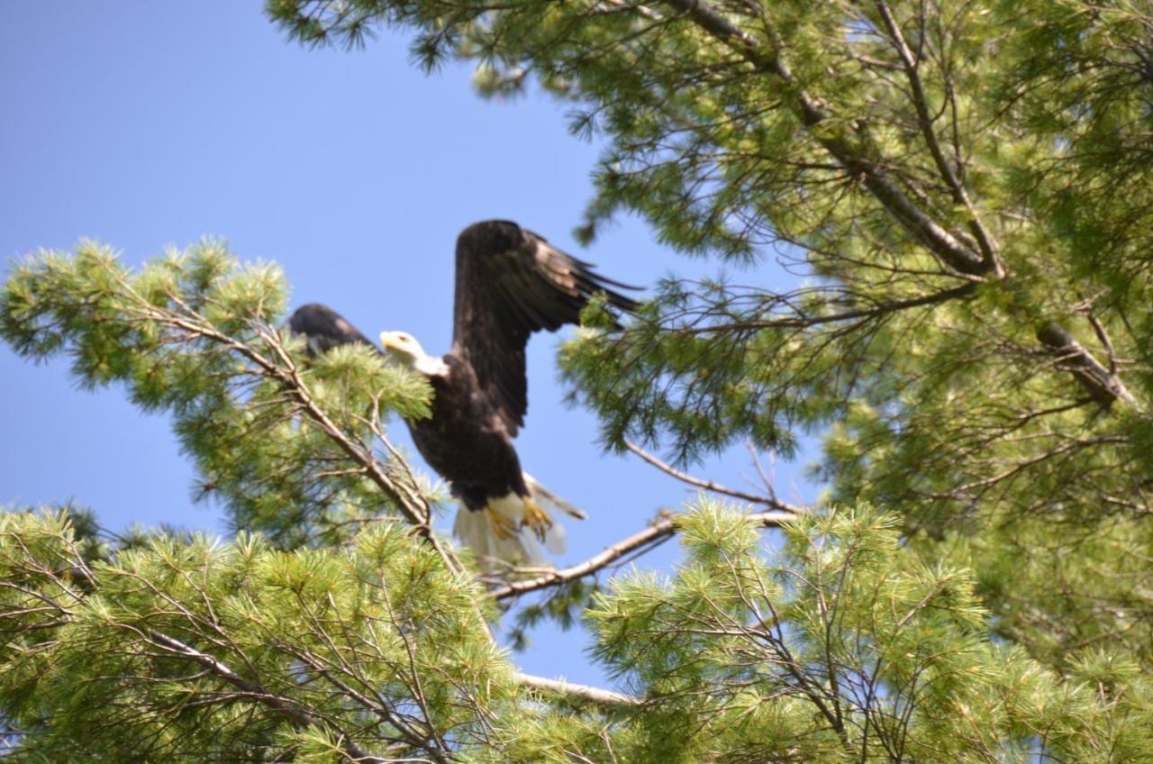 Hotel Prashant - Tap to explore photos