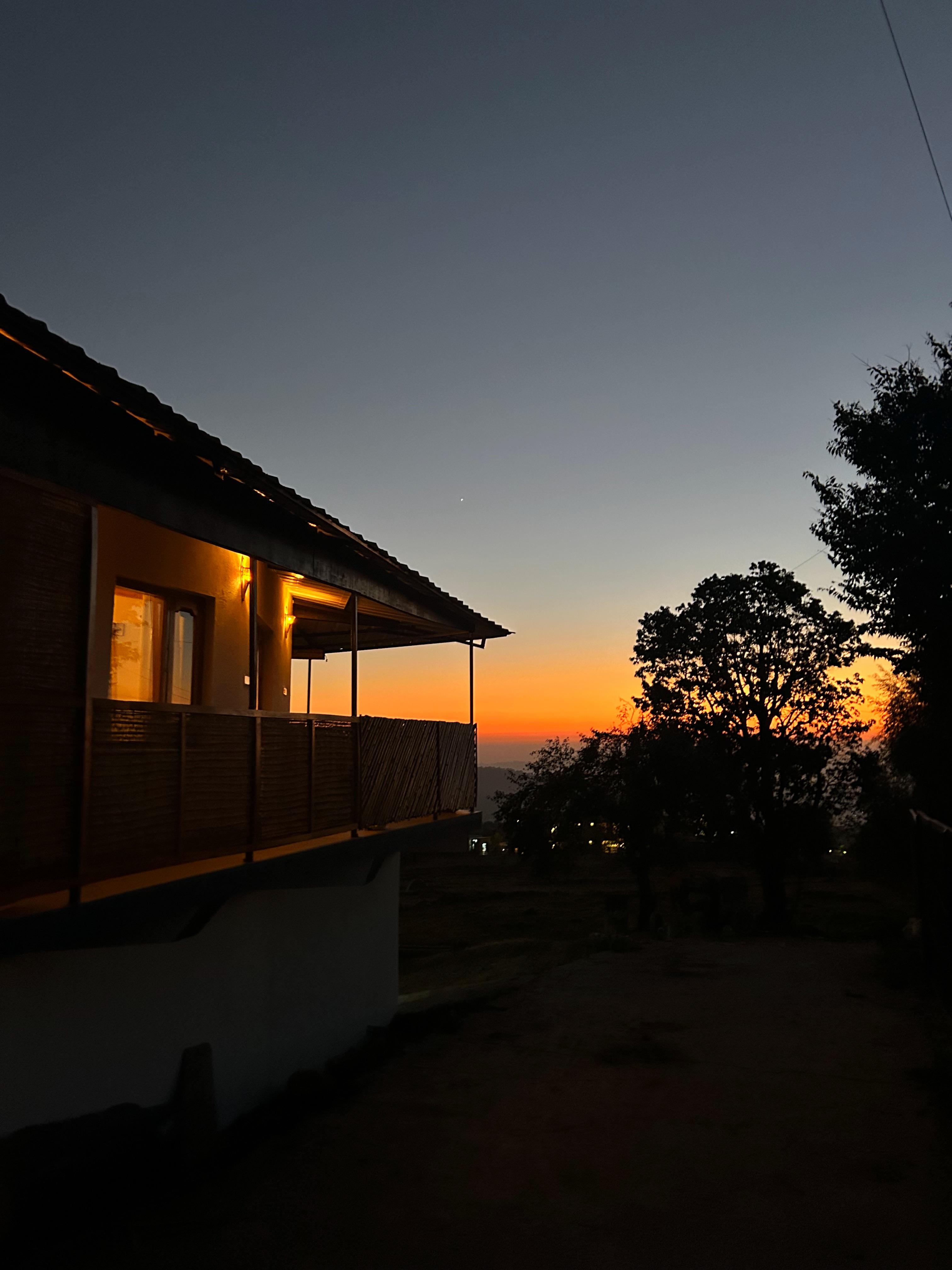 Shrestha Dwivedi - Tap to explore photos