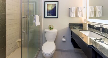 DoubleTree by Hilton Historic Savannah Room Type - 1 KING BED STANDARD NS