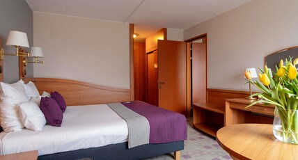 Mercure Cieszyn Room Type - Standard Room with 1 queen-size bed and sofa