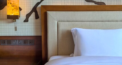 Crowne Plaza RESORT CHANGBAISHAN HOT SPRING Room Type - Standard Room