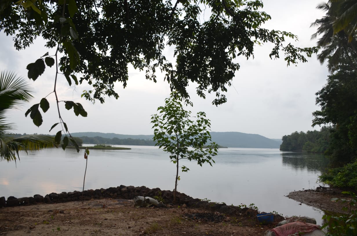 River View Resort - Tap to explore photos