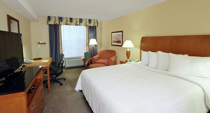 Hilton Garden Inn Oxnard/Camarillo Room Type - 1 KING BED