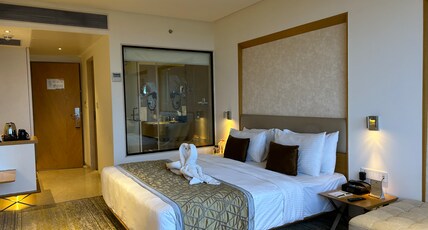 Sayaji Vadodara Room Type - Premium Skyline