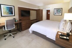 Holiday Inn Express GUADALAJARA AEROPUERTO